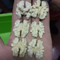 今年新货蜕皮去皮核桃仁去衣 湿冰冻新鲜生去皮核桃仁 一斤去皮湿核桃仁