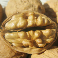 新货薄皮核桃装新疆特产散装原味薄皮大核桃孕妇坚果