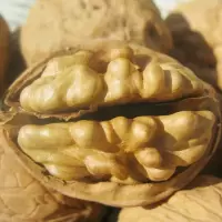 新货薄皮核桃装新疆特产散装原味薄皮大核桃孕妇坚果