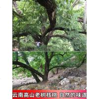 猴乐族新鲜薄皮核桃新货云南纸皮核桃薄壳装纸实惠装黑桃