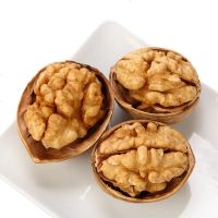 伊乐滋核桃薄皮新货薄壳装实惠新疆特产新鲜纸皮生核桃仁散装