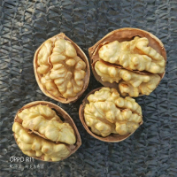 新疆纸皮核桃装级薄壳核桃薄皮孕妇大核桃仁黑桃批发整散
