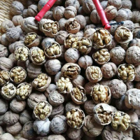 老树山核桃装 秦岭商洛年新核桃 薄皮非纸皮未漂白孕妇