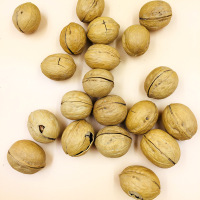 陕西特产椒盐核桃 咸味熟核桃装 新疆薄皮纸皮核桃新货盐焗 5斤送夹子(椒盐口味)