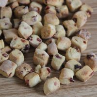 无油蔓越莓小石头饼干低糖磨牙棒成人硬饼干休闲代餐食 蔓越莓小石头300克