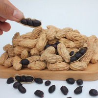 云南富硒黑花生带壳生的种籽老品种黑皮紫皮花生黑紫种子原味散装