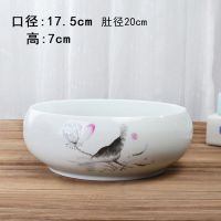 冰清玉洁 水仙花水培铜钱花盆陶瓷碗莲睡莲荷花无孔容器清仓水养的器皿