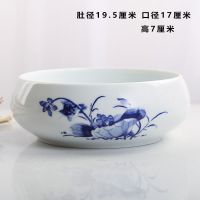 WS-兰和为贵 水仙花水培铜钱花盆陶瓷碗莲睡莲荷花无孔容器清仓水养的器皿