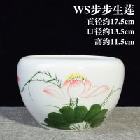 WS步步莲生花缸+10碗莲种子 无孔 荷花缸碗莲盆水仙无孔养鱼盆水培容器睡莲铜钱绿萝陶瓷多肉花盆