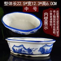 青花手绘椭圆小号 大号陶瓷水培花盆无孔水仙花盆铜钱睡碗莲水培容器特大号多肉盆