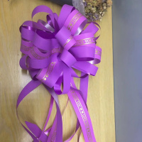 特大号花球-马卡龙浅紫色 20朵 婚庆用品婚车拉花彩带装饰车把手花婚车车队拉花装饰结婚用品大全