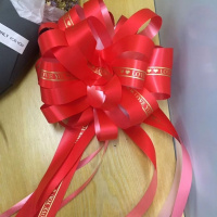 特大号花球-马卡龙红色 10朵 婚庆用品婚车拉花彩带装饰车把手花婚车车队拉花装饰结婚用品大全