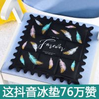 夏季必备神器家用冰垫汽车降温学生枕头冰枕夏季水垫子冰坐垫