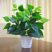 中盆绿萝套装 仿真植物假植物绿植室内外装饰塑料盆栽假绿萝小盆栽仿真花植物