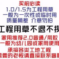 买前必读 仿真坪垫绿色假人造皮户外绿植装饰足球场人工塑料幼儿园地毯