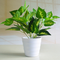 小号万年青套装 仿真植物假植物绿植室内外装饰塑料盆栽假绿萝小盆栽仿真花植物