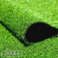 草高2厘米普通款 仿真坪垫绿色假人造皮户外绿植装饰足球场人工塑料幼儿园地毯