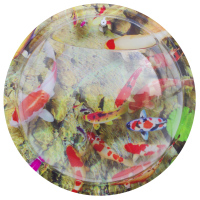 中号23CM锦鲤 墙上装饰品墙面装饰创意家居卧室墙饰挂饰花盆壁挂鱼缸墙壁挂件