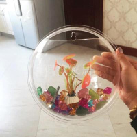 小号15CM透明配水晶石和仿真水草 墙上装饰品墙面装饰创意家居卧室墙饰挂饰花盆壁挂鱼缸墙壁挂件