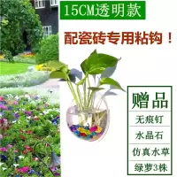 15CM透明(配瓷砖专用粘钩) 墙饰挂饰水培绿萝花盆壁挂鱼缸装扮房间装饰品卧室客厅背景墙壁饰