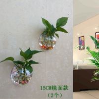 2个15CM透明(配瓷砖专用粘钩) 墙饰挂饰水培绿萝花盆壁挂鱼缸装扮房间装饰品卧室客厅背景墙壁饰