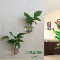 直径15CM透明款(2个) 墙饰挂饰水培绿萝花盆壁挂鱼缸装扮房间装饰品卧室客厅背景墙壁饰