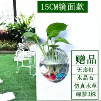 直径15CM镜面款 墙饰挂饰水培绿萝花盆壁挂鱼缸装扮房间装饰品卧室客厅背景墙壁饰