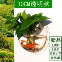 直径30CM透明款 墙饰挂饰水培绿萝花盆壁挂鱼缸装扮房间装饰品卧室客厅背景墙壁饰
