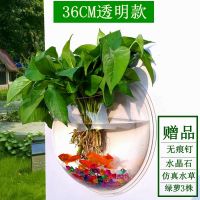 直径36CM透明款 墙饰挂饰水培绿萝花盆壁挂鱼缸装扮房间装饰品卧室客厅背景墙壁饰