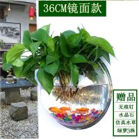 直径36CM镜面款 墙饰挂饰水培绿萝花盆壁挂鱼缸装扮房间装饰品卧室客厅背景墙壁饰