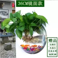 直径36CM镜面款 墙饰挂饰水培绿萝花盆壁挂鱼缸装扮房间装饰品卧室客厅背景墙壁饰