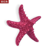 海星玫红色13*13cm 方向盘船舵手渔装饰品儿童卧室地中海风格复古墙面挂饰壁饰挂件