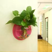 直径23CM粉红款 墙饰挂饰水培绿萝花盆壁挂鱼缸装扮房间装饰品卧室客厅背景墙壁饰