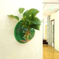 直径23CM绿色款 墙饰挂饰水培绿萝花盆壁挂鱼缸装扮房间装饰品卧室客厅背景墙壁饰