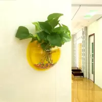 直径23CM黄色款 墙饰挂饰水培绿萝花盆壁挂鱼缸装扮房间装饰品卧室客厅背景墙壁饰