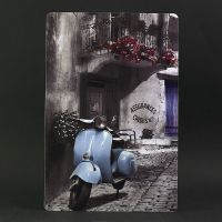 TP20-40 20X30cm 复古怀旧铁皮画车牌做旧工业风酒吧装饰创意房间墙上墙面壁饰挂件