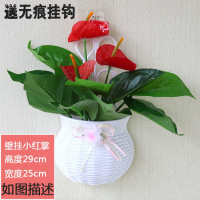[壁挂+小红掌] 挂壁饰挂墙挂篮假花室内吊篮墙面装饰花艺挂件挂墙花篮仿真花套装