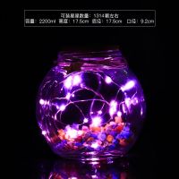 特大1314+粉色灯 LED灯许愿瓶创意星星瓶夜光幸运星玻璃瓶520生日表白毕业送礼