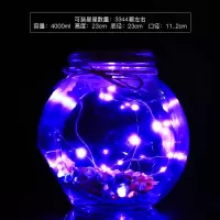 超大3344+紫色灯 LED灯许愿瓶创意星星瓶夜光幸运星玻璃瓶520生日表白毕业送礼