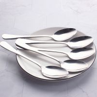 10支1号大尖餐勺 5-10支不锈钢勺子加厚可爱时尚韩式勺汤匙饭勺儿童勺咖啡勺甜品勺