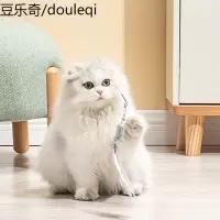 派可为逗猫棒猫玩具羽毛小猫逗猫玩具激光笔套装幼猫用品猫咪玩具
