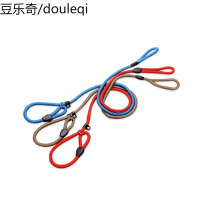 狗狗牵引绳宠物泰迪小型犬狗链子大型犬金毛遛狗绳子狗狗用品