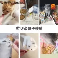 猫饼干路斯猫用小鱼饼干猫零食小鱼干*4盒猫咪零食幼猫磨牙鱼薄荷