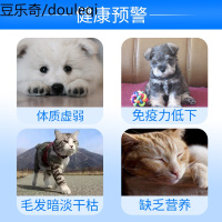 法国维克营养膏狗狗比熊法斗增肥幼犬猫咪维生素B virbac克补软膏