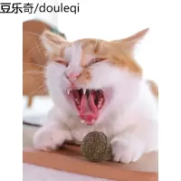 猫玩具猫薄荷球棒棒糖磨牙棒耐咬零食逗猫棒猫咪用品猫猫玩具自嗨