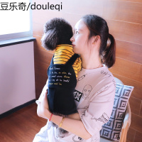 狗狗衣服泰迪比熊柯基四脚夏天夏季薄款小型犬幼犬宠物春装春秋款
