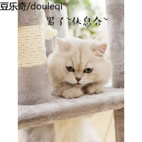 多层猫爬架猫窝别墅猫架子猫树猫咪瞭望台猫台吊床圆筒顶抓柱跳台