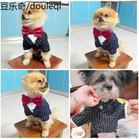 狗狗衣服泰迪春秋薄款西装礼服法斗西服巴哥斗牛犬的四脚宠物春装