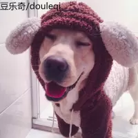 大狗狗衣服冬季柴犬加厚中型大型犬金毛哈士奇阿拉斯加宠物秋冬装