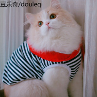 小猫咪衣服清仓加菲猫英短蓝猫幼猫泰迪猫猫夏装薄款宠物夏季背心